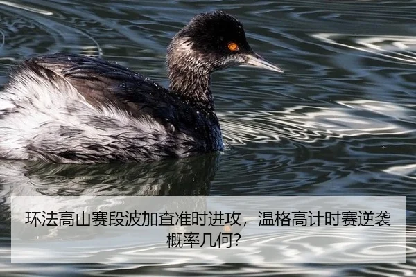 环法高山赛段波加查准时进攻，温格高计时赛逆袭概率几何？