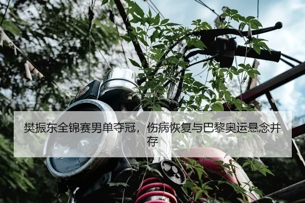樊振东全锦赛男单夺冠，伤病恢复与巴黎奥运悬念并存
